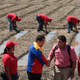 Hugo Chávez’s drive to put the state at the center of all economic activity resulted in a less productive Venezuela.